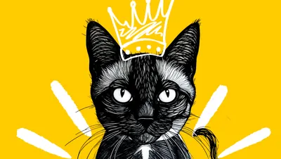 Illustrated cat wearing a crown