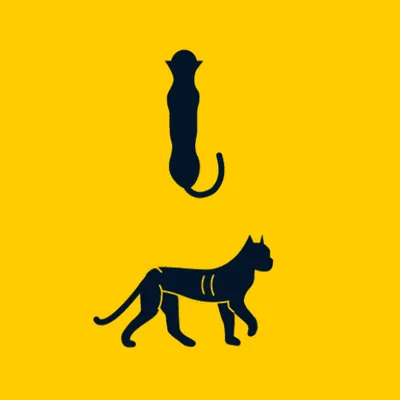 underweight cat